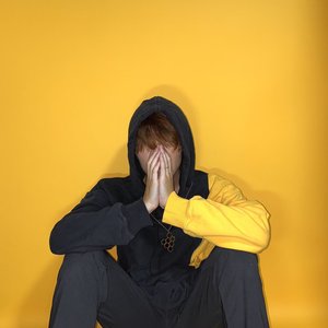 ナナホシ管弦楽団 的头像