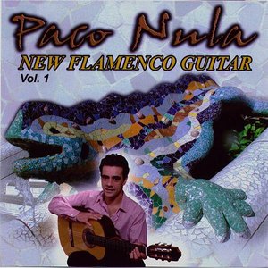 New Flamenco Guitar 1