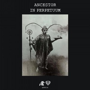 “In Perpetuum”的封面