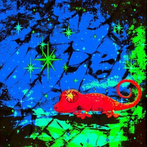 Chameleon