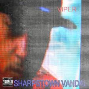 Sharpstown Vandal
