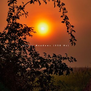 Sunlit Meadows (528 Hz)