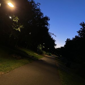 The Sky is Falling