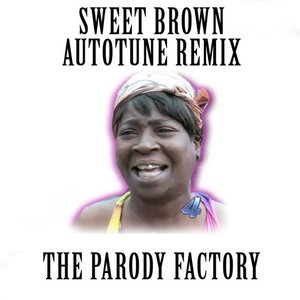 Ain't Nobody Got Time for That (feat. the Parody Factory)