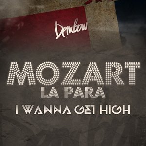 I Wanna Get High