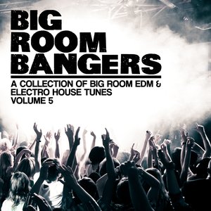 Bigroom Bangers, Vol. 5 (A Collection of Big Room EDM & Electro House Tunes)