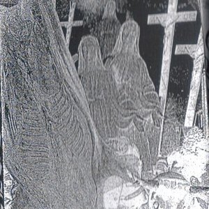 Live 2009