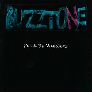 Punk By Numbers
