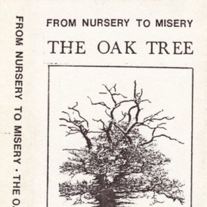 The Oak Tree
