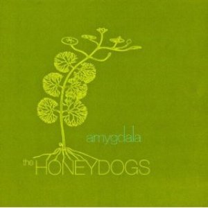 Amygdala