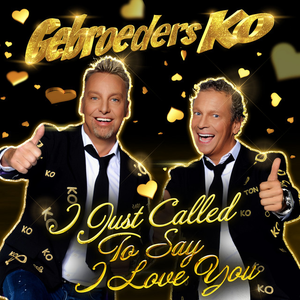 Artwork for I Just Called To Say I Love You