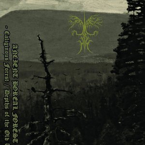 Caliginous Forest / Depths of the Old Tomb