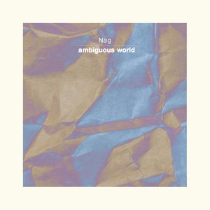 Ambiguous World