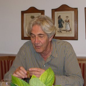 Avatar for György Fischer