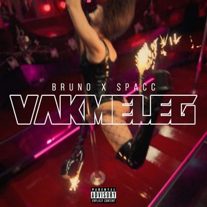 VAKMELEG - Single