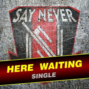 Here Waiting - Single