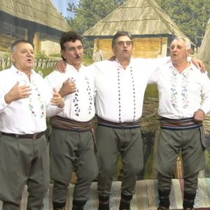 Radojko Stojkovic i pevacka grupa Moravci 的头像