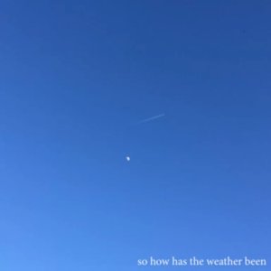 So How Has the Weather Been - Single