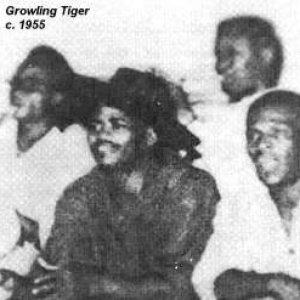 Growling Tiger 的头像