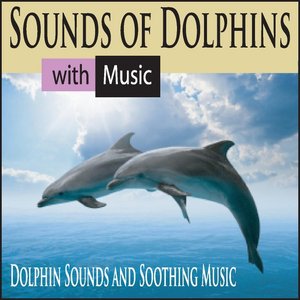 Sounds of Dolphins With Music: Dolphin Sounds and Soothing Music