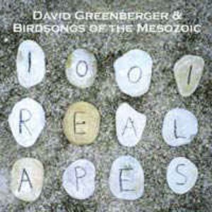 David Greenberger & Birdsongs Of The Mesozoic 的头像