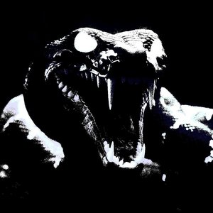 Avatar für Yung Zime, Revnoir & VYPER 깨물다