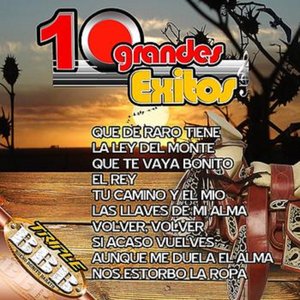 10 Grandes Exitos De Vicente Fernandez