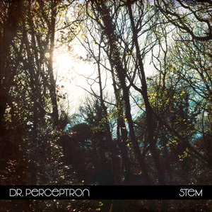Stem - Single