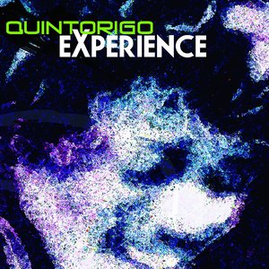 Quintorigo Experience