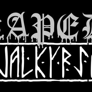 Avatar for Raped Valkyrja