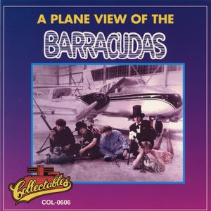 A Plane View of the Barracudas