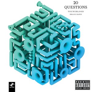 20 Questions