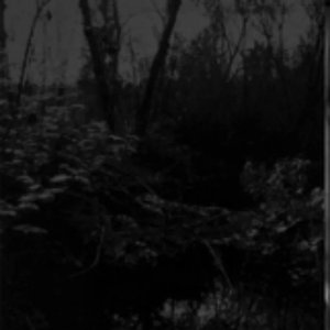 To Despair Of…