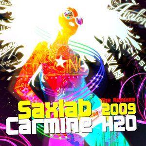 Saxlab 2009 (The Remixes)