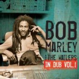 “In Dub, Vol. 1”的封面