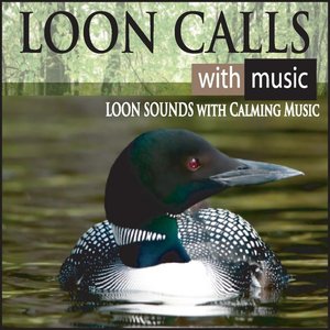 Loon Calls With Music: Loon Sounds With Calming Music