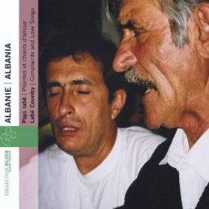 Nazif Celaj 的头像