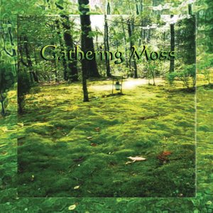 Gathering Moss