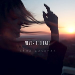 Never Too Late