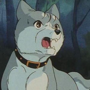 Avatar di Silverfang