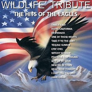 A Tribute To The Hits of The Eagles