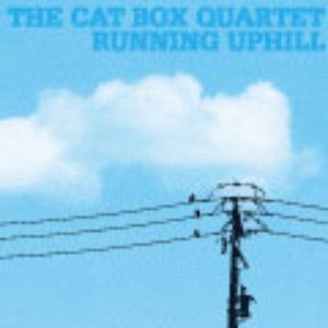 Avatar for The Cat Box Quartet
