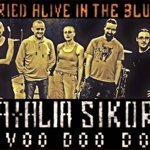 Natalia Sikora + Voo Doo Dog 的头像