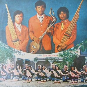 เพชรพิณทอง 的头像