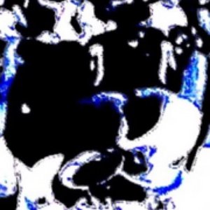 Avatar for Owen Costa