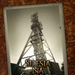 Silesia 的头像