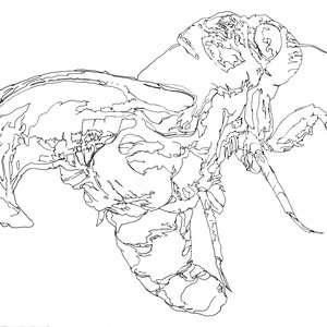 Ventricles 的头像