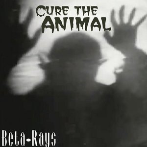 Cure the Animal