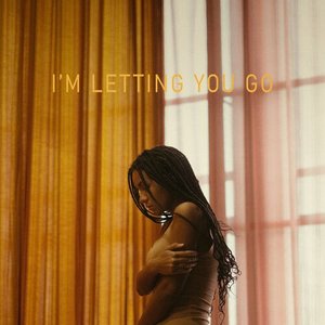 I'm Letting You Go - Single