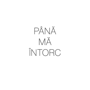Până mă întorc — Ian